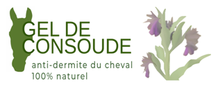 Derminte du cheval